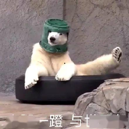 沙雕吃瓜爆料视频下载,一场网络爆料的狂欢盛宴 第1张 沙雕吃瓜爆料视频下载,一场网络爆料的狂欢盛宴 第1张